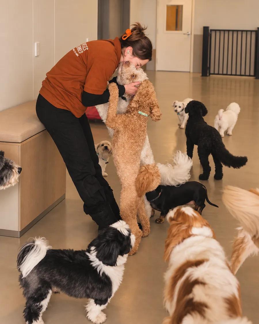 Una cuidadora abraza a un perro en una guardería llena de perros